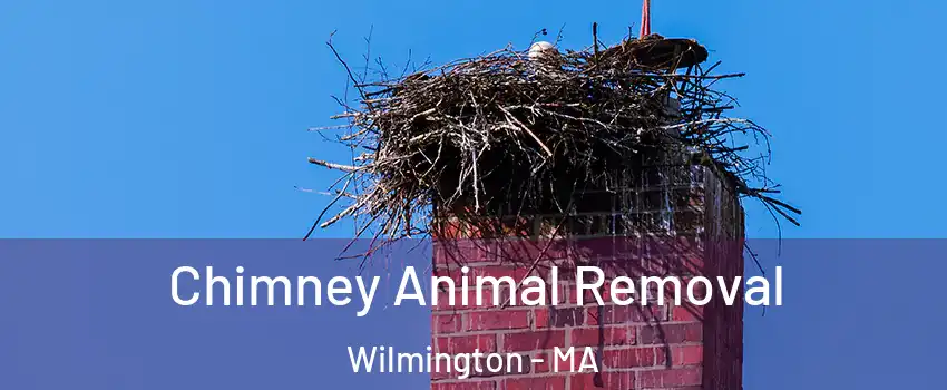 Chimney Animal Removal Wilmington - MA