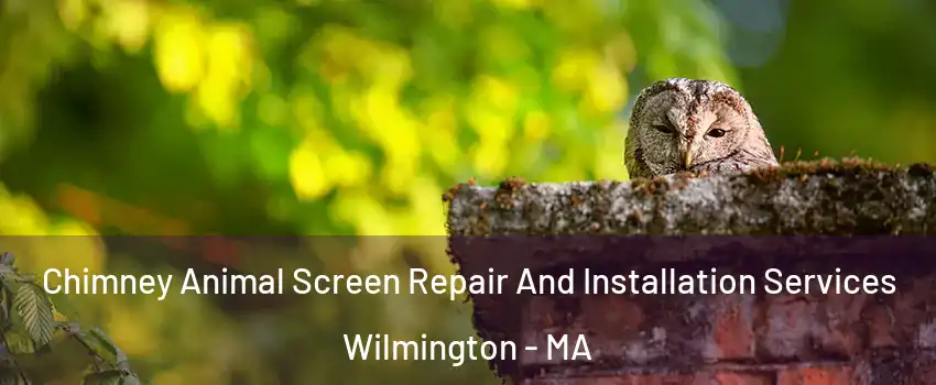  Chimney Animal Screen Repair And Installation Services Wilmington - MA