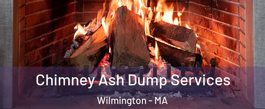  Chimney Ash Dump Services Wilmington - MA