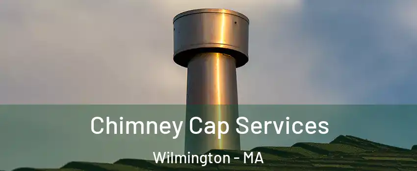  Chimney Cap Services Wilmington - MA