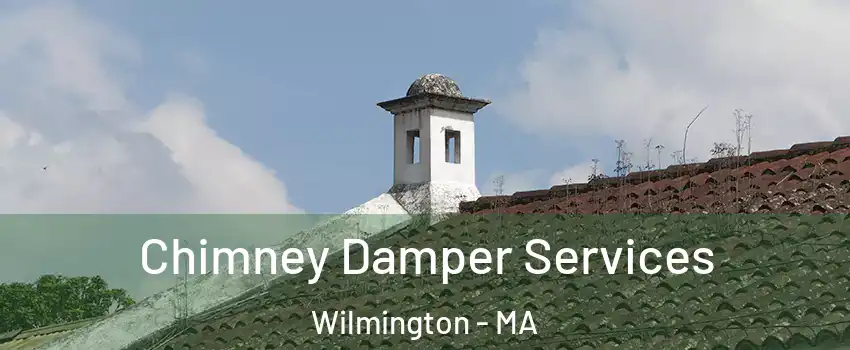  Chimney Damper Services Wilmington - MA