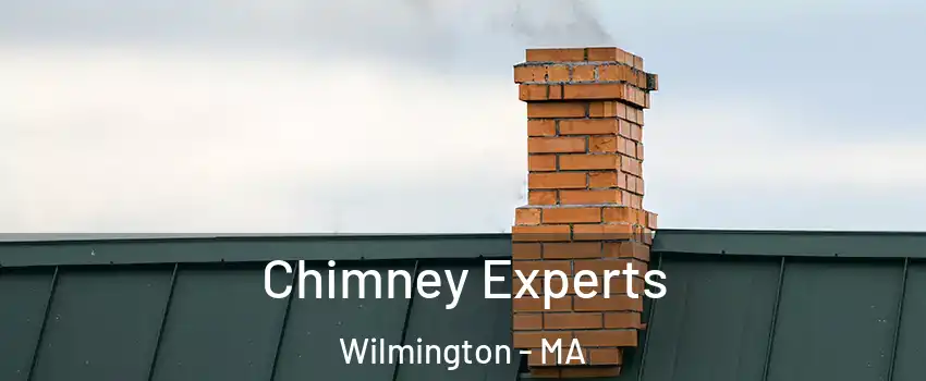  Chimney Experts Wilmington - MA