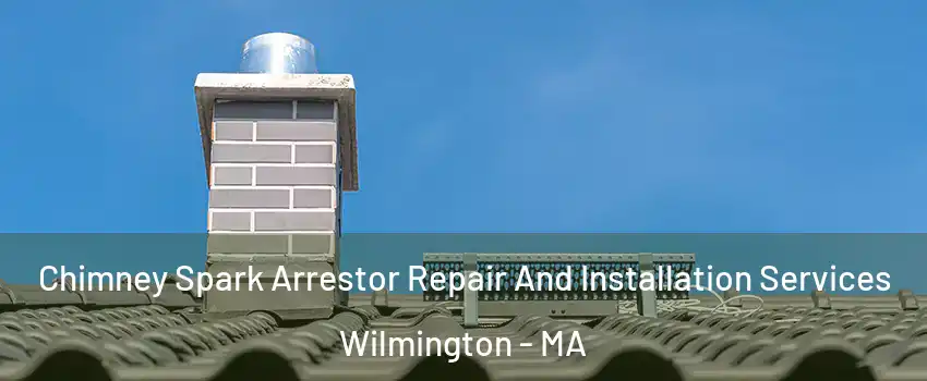  Chimney Spark Arrestor Repair And Installation Services Wilmington - MA