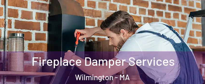  Fireplace Damper Services Wilmington - MA