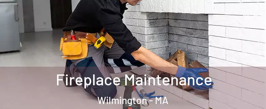  Fireplace Maintenance Wilmington - MA