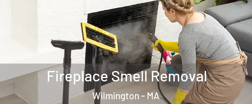  Fireplace Smell Removal Wilmington - MA