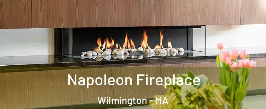  Napoleon Fireplace Wilmington - MA