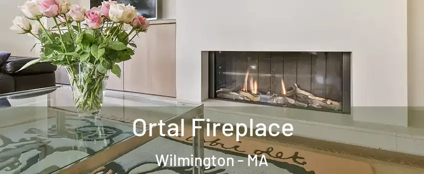 Ortal Fireplace Wilmington - MA
