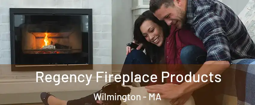  Regency Fireplace Products Wilmington - MA